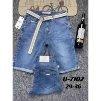 Шорти чоловічі FANGSIDA JEANS 7104 2